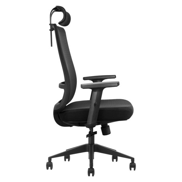 SKILLCHAIRS Ergo Luna SKILLCHAIRS Ergo Luna